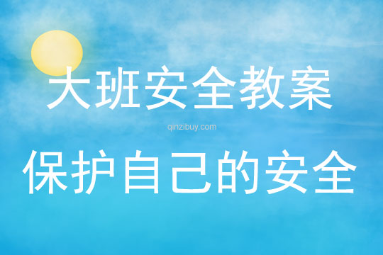 大班安全知识教育活动保护自己的安全教案反思