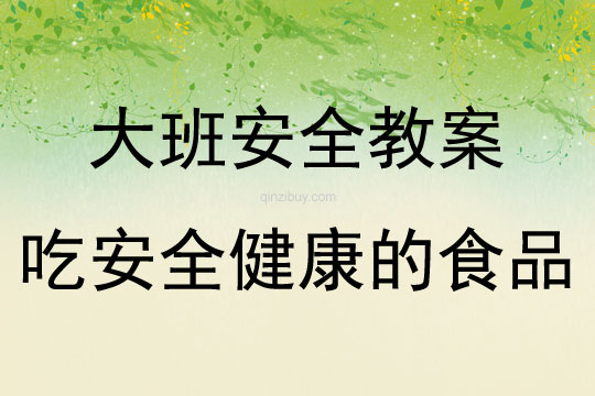 大班安全活动教案：《吃安全健康的食品》教案(附教学反思)