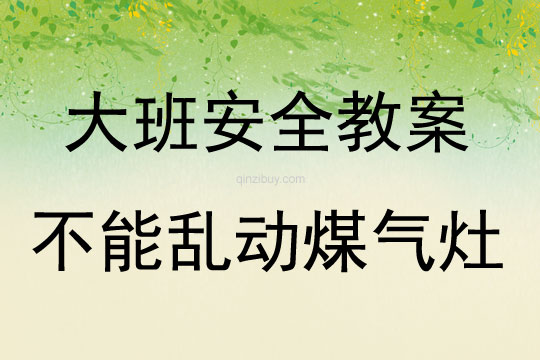 大班安全不能乱动煤气灶教案反思