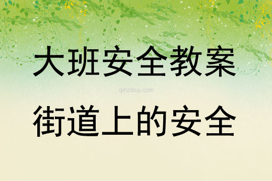 大班安全活动街道上的安全教案反思