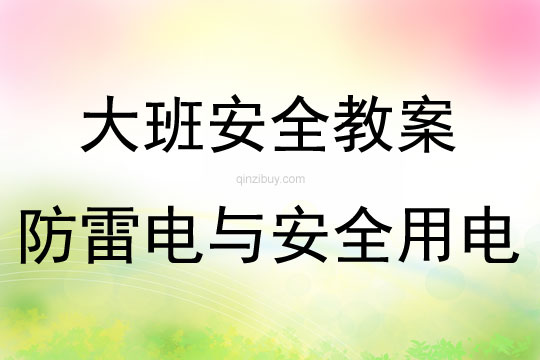 大班安全防雷电与安全用电教案反思