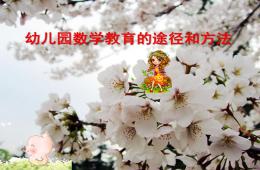 幼儿园数学教育的途径和方法PPT课件
