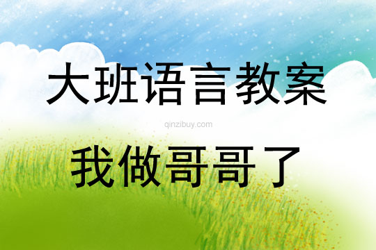 大班语言活动我做哥哥了教案反思