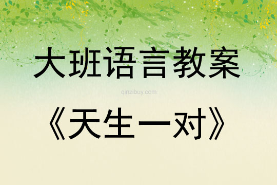 大班语言活动天生一对教案反思
