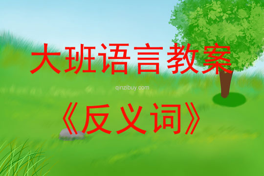 大班语言活动“反义词”教案反思