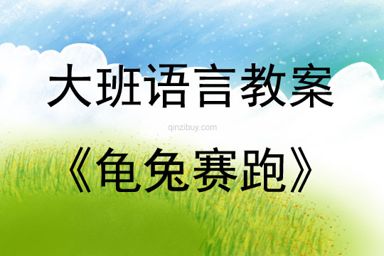 大班语言龟兔赛跑教案反思