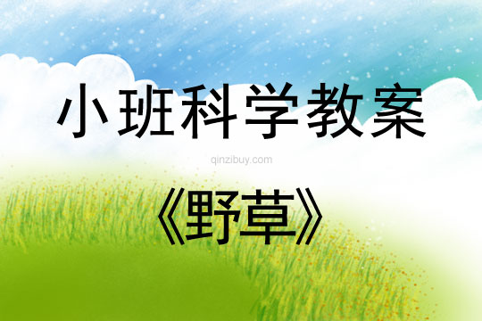 小班科学活动教案：野草教案(附教学反思)
