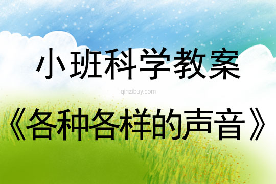 小班科学活动各种各样的声音教案反思