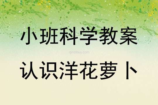 小班科学教案：认识洋花萝卜小班科学教案：认识洋花萝卜
