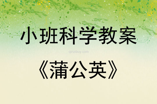 小班科学：蒲公英小班科学教案：蒲公英