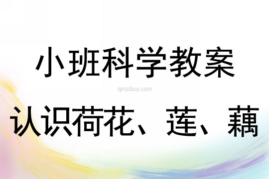 小班科学教案：认识荷花、莲、藕小班科学教案：认识荷花、莲、藕