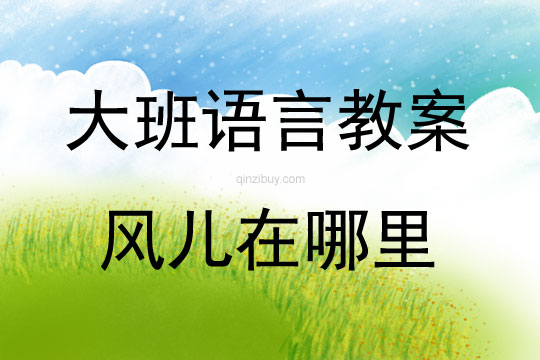 大班语言活动教案：风儿在哪里教案(附教学反思)