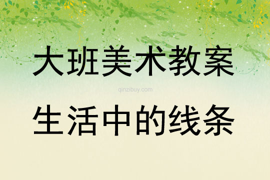 大班美术活动生活中的线条教案反思