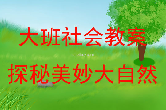 大班社会探秘美妙大自然教案反思