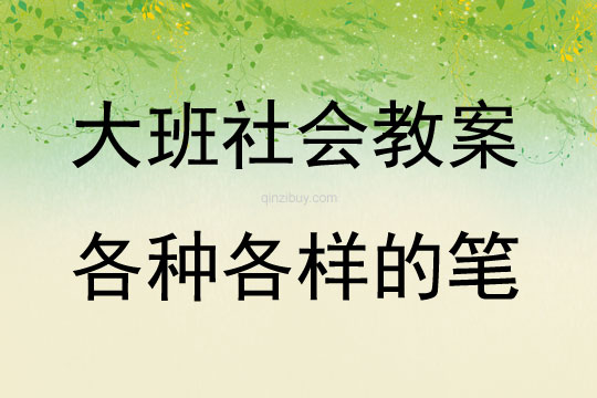 大班社会各种各样的笔教案反思