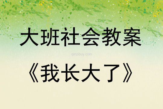 大班社会活动《我长大了》教案反思