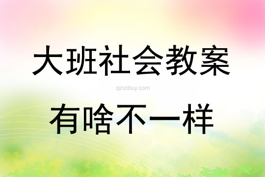大班社会活动教案：有啥不一样教案(附教学反思)