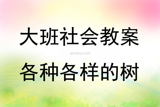 大班社会活动教案：各种各样的树教案(附教学反思)