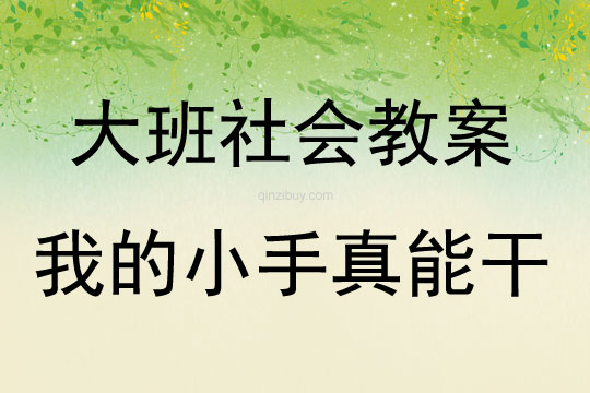 大班社会我的小手真能干教案反思