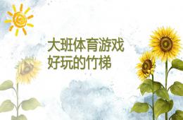 大班体育好玩的竹梯PPT课件