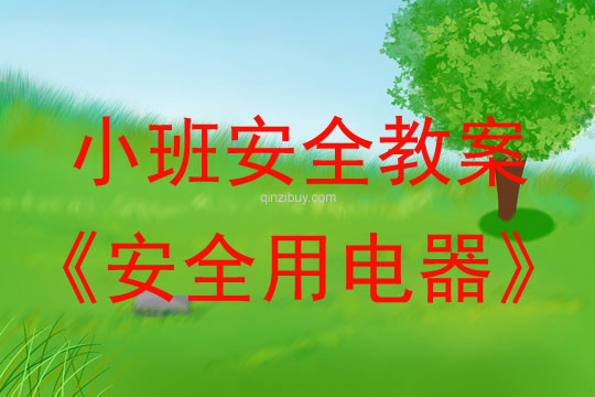 小班安全活动教案：安全用电器教案