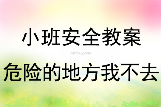 小班安全危险的地方我不去教案反思