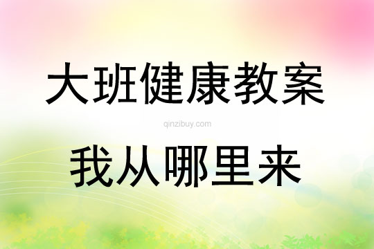 大班健康我从哪里来教案反思