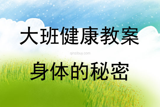 大班健康活动身体的秘密优秀教案反思