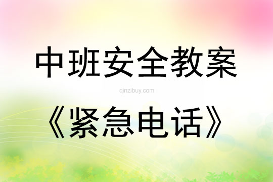 中班安全紧急电话教案