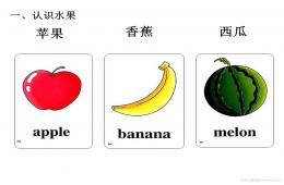 幼儿活动常用英语单词图片大全PPT课件