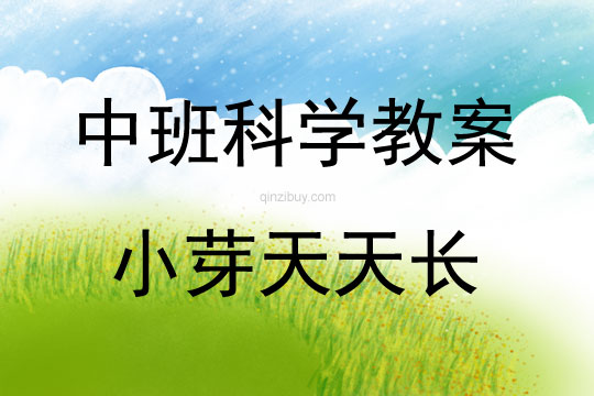 中班科学活动小芽天天长教案反思