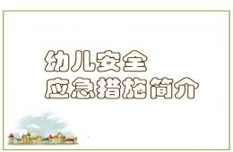 幼儿突发事件的处理PPT课件