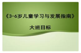 幼儿园大班指南目标PPT课件