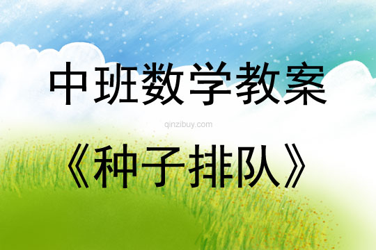 中班数学活动种子排队教案反思