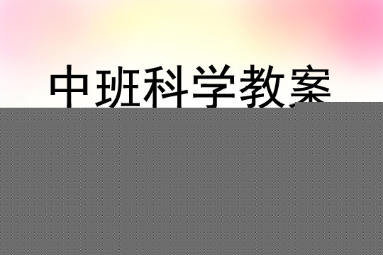 中班科学《水中的秘密》教案反思