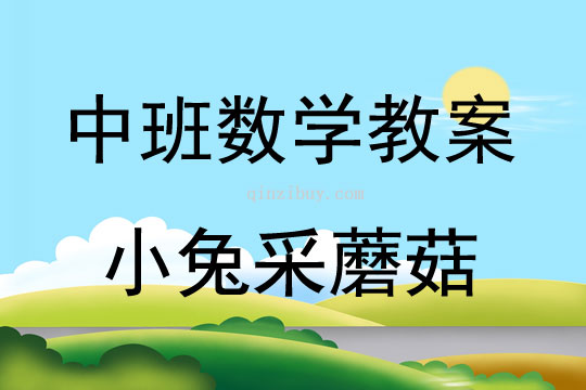 中班数学活动小兔采蘑菇教案反思