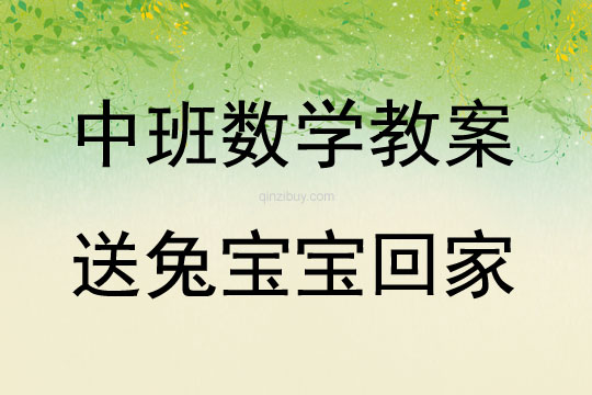 中班数学活动送兔宝宝回家教案反思