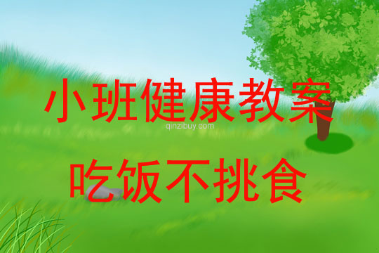 小班健康吃饭不挑食教案反思