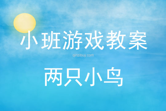 小班音乐游戏活动教案：两只小鸟教案(附教学反思)