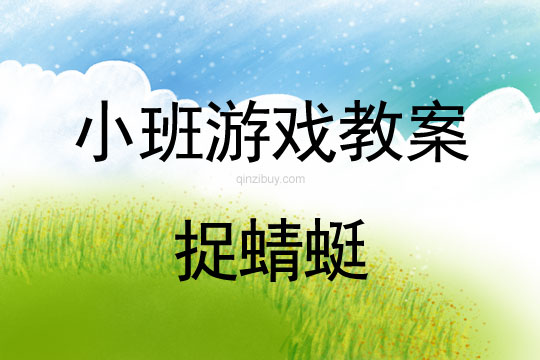 小班语言游戏活动捉蜻蜓教案反思