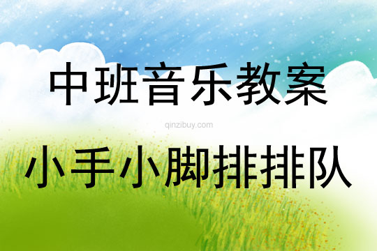 中班音乐活动小手小脚排排队教案反思