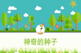 中班科学神奇的种子PPT课件