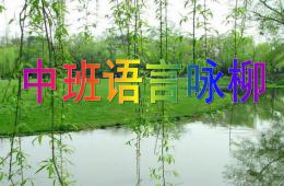 中班语言古诗咏柳PPT课件