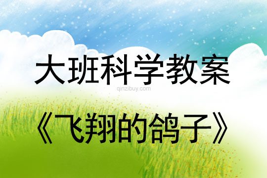 大班科学教案：飞翔的鸽子大班科学教案：飞翔的鸽子