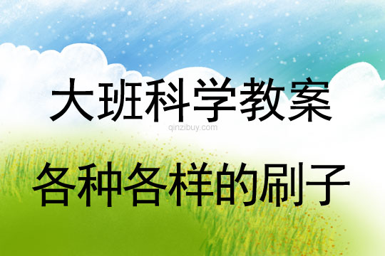 大班科学：各种各样的刷子大班科学教案：各种各样的刷子