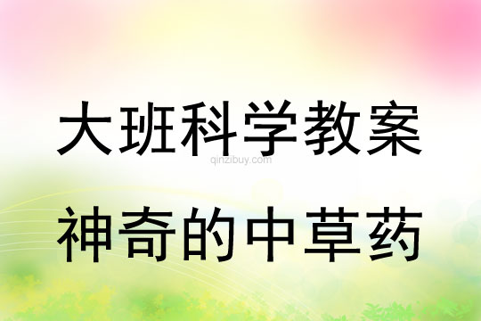 大班科学：神奇的中草药大班科学：神奇的中草药