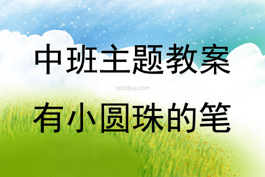 中班主题活动有小圆珠的笔教案反思