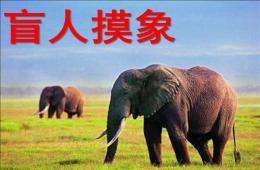 大班语言盲人摸象PPT课件