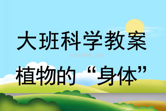 大班科学教案：植物的“身体”大班科学教案：植物的“身体”