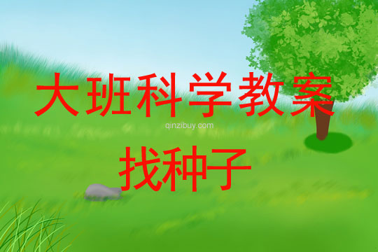 幼儿园大班科学活动:找种子大班科学活动:找种子